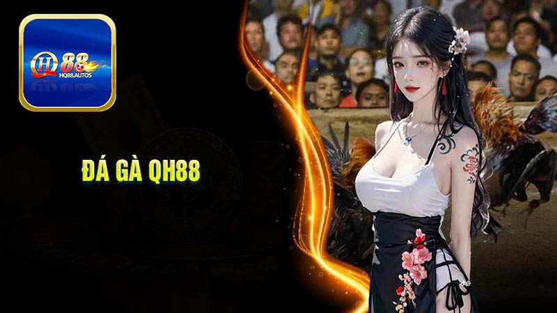 Khái quát về sảnh đá gà HQ88